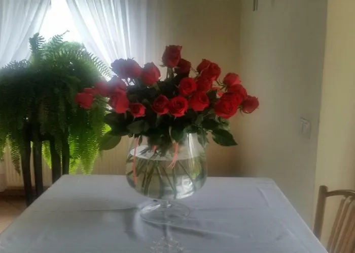 Mala Maggie Vandrarhem